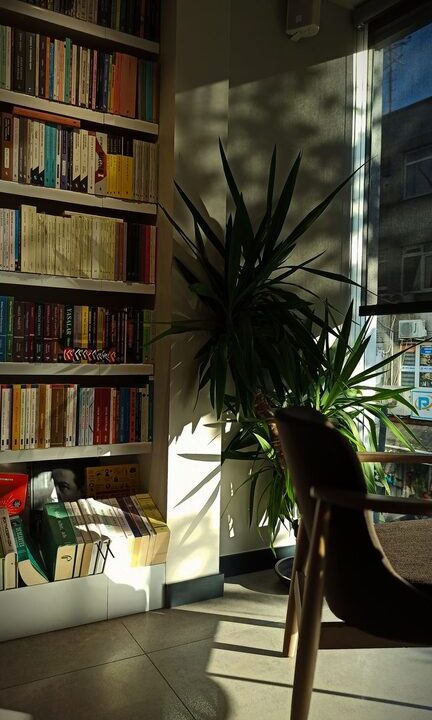 Tips for Creating a Cozy Reading Nook at Home