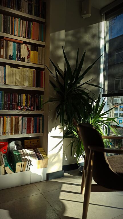 Tips for Creating a Cozy Reading Nook at Home